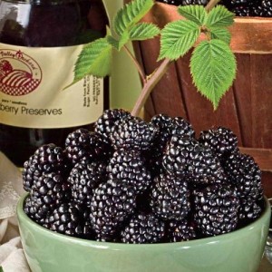 tasty homemade blackberry wine.jpg