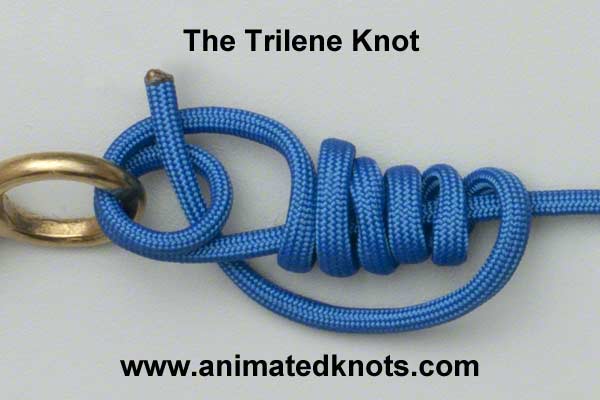 trilene_knot.jpg