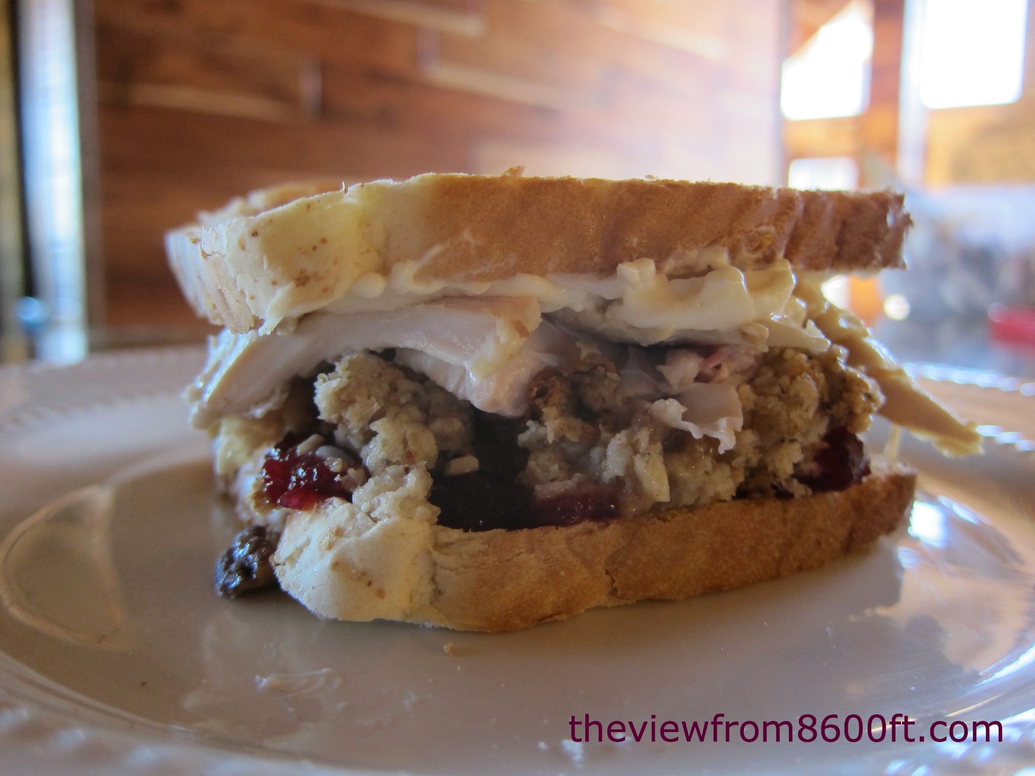 turkey sandwich 1.jpg