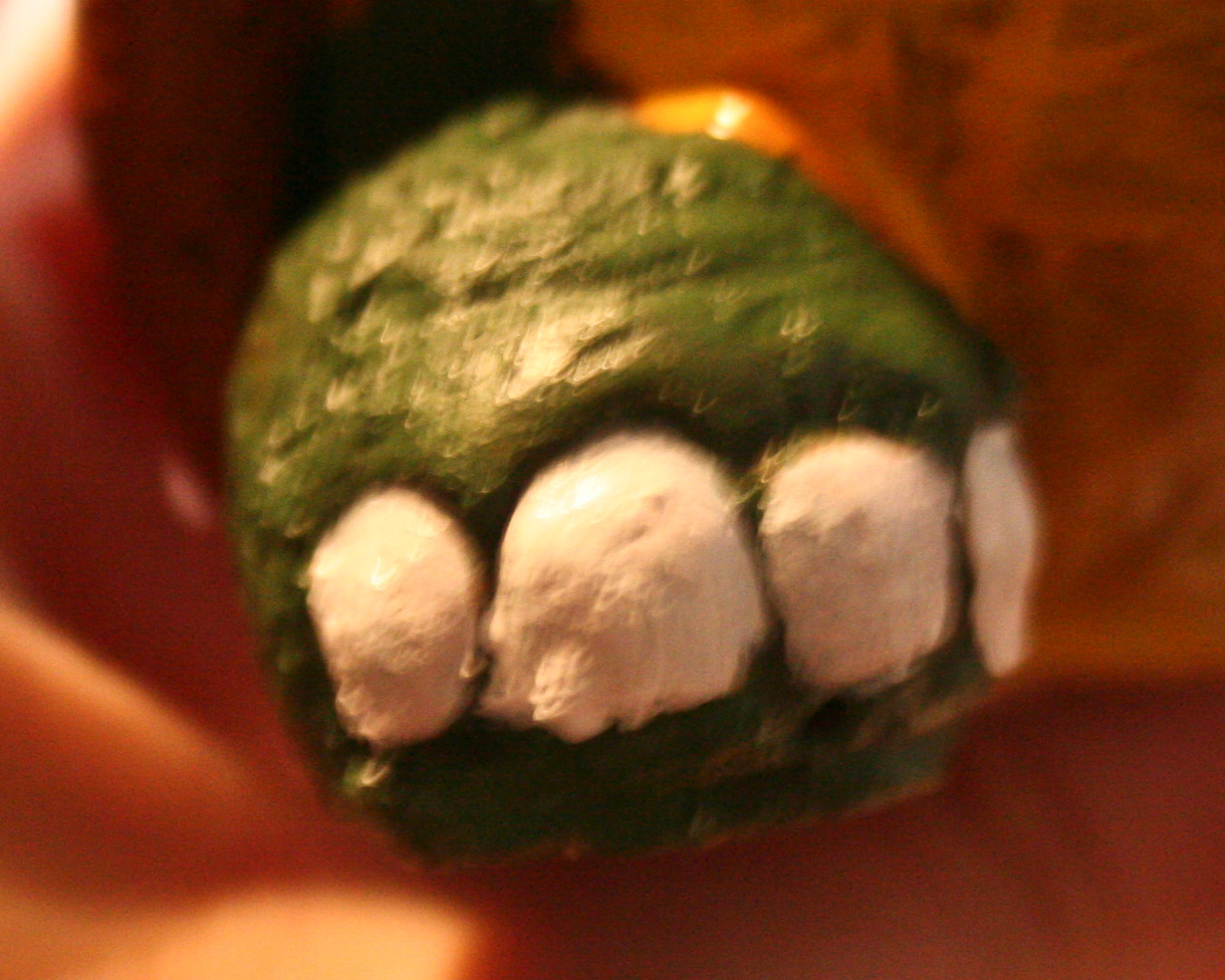 turtle nails.jpg