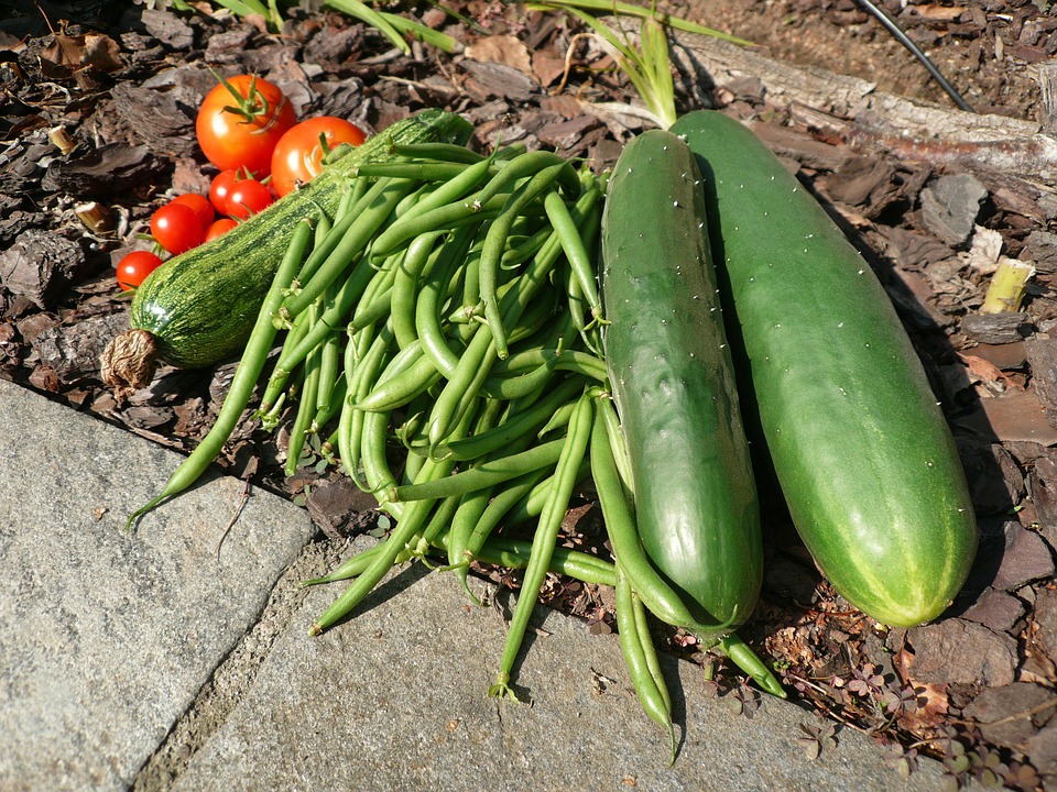 vegetables-1989428_960_720.jpg