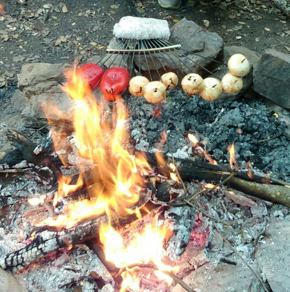 veggies over the rake.jpg