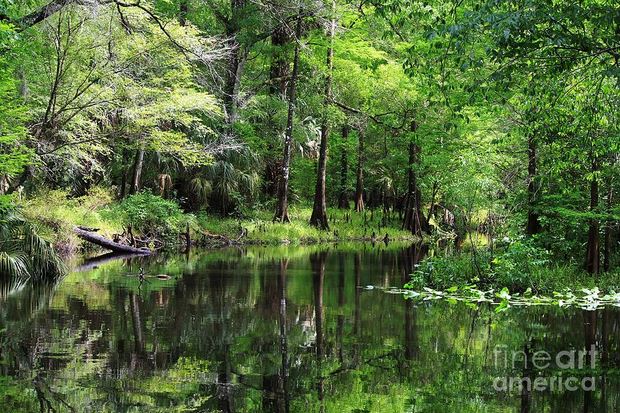 water reflections 1.JPG