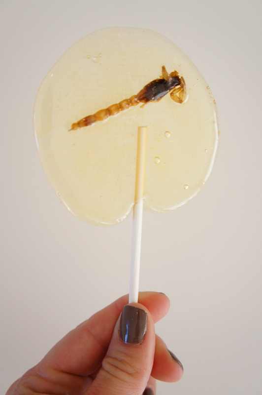 Scorpion Tequila Lollipops