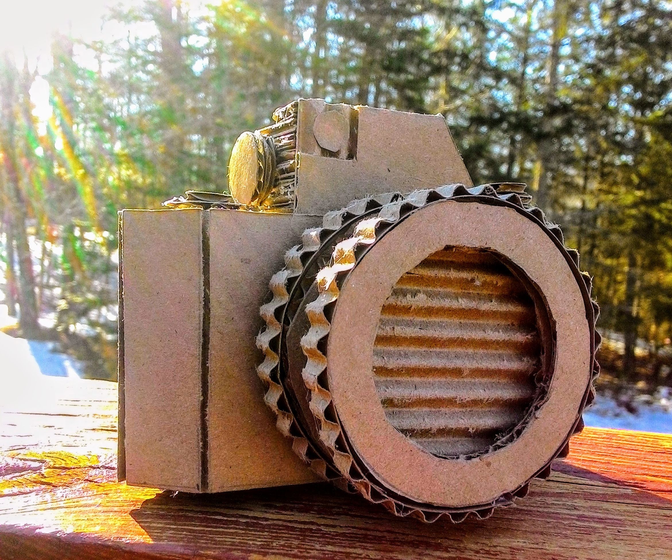 Cardboard Camera