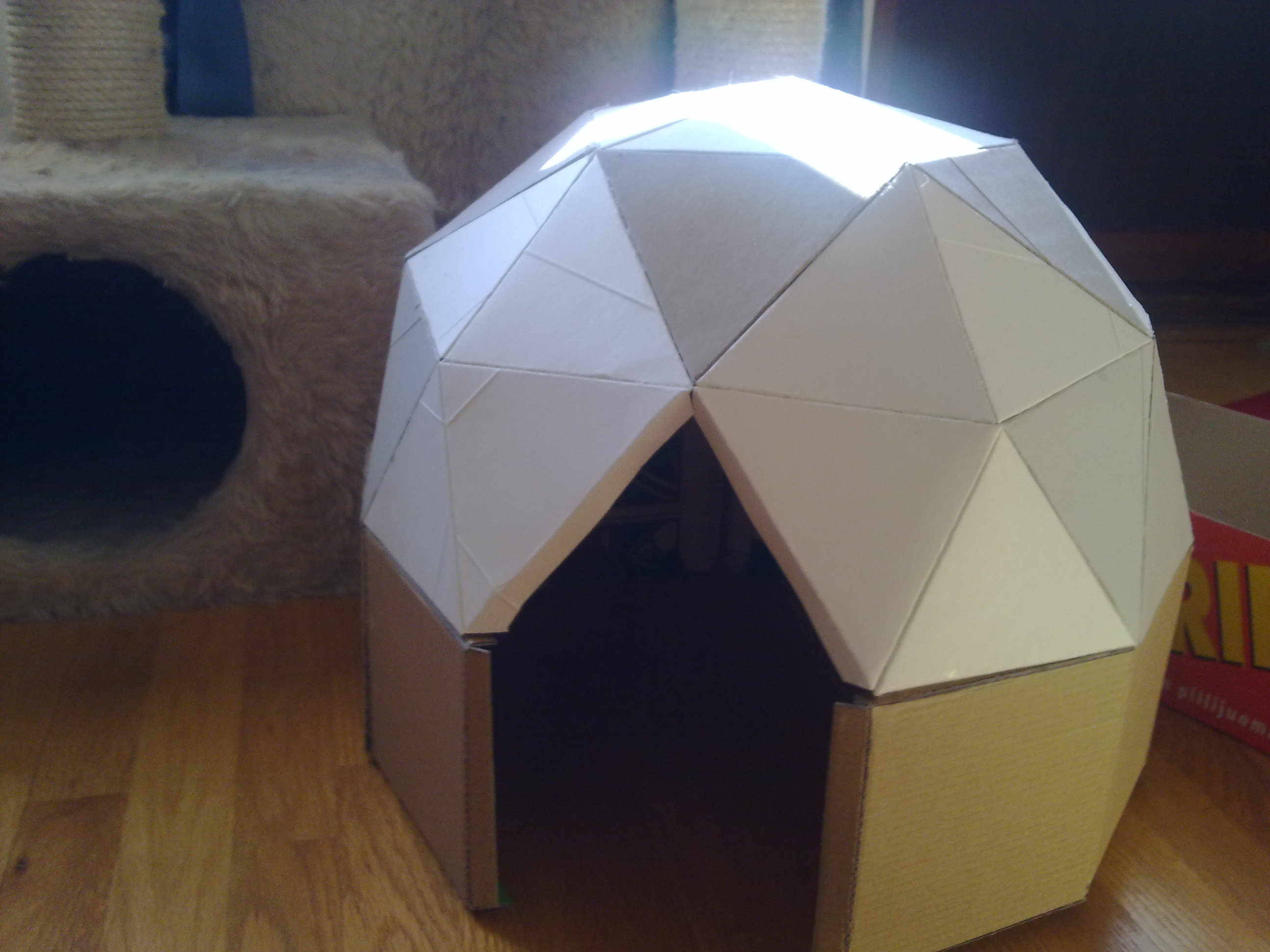 Cat-sized Cardboard Dome