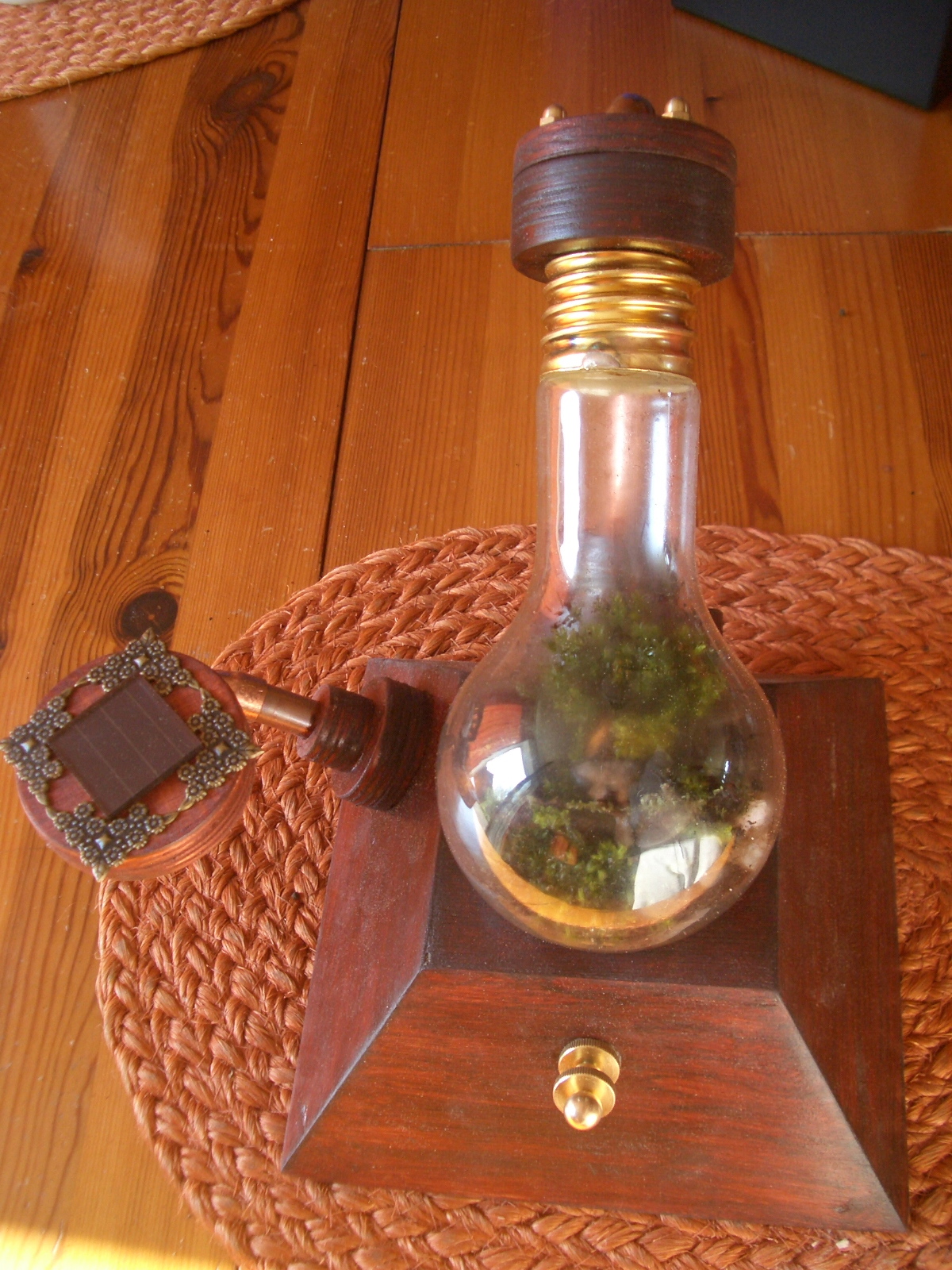 "The Steampunk Garden" in a Bulb