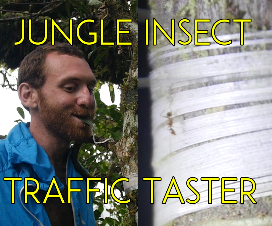 Fiber-Optic Jungle Insect Traffic Taster