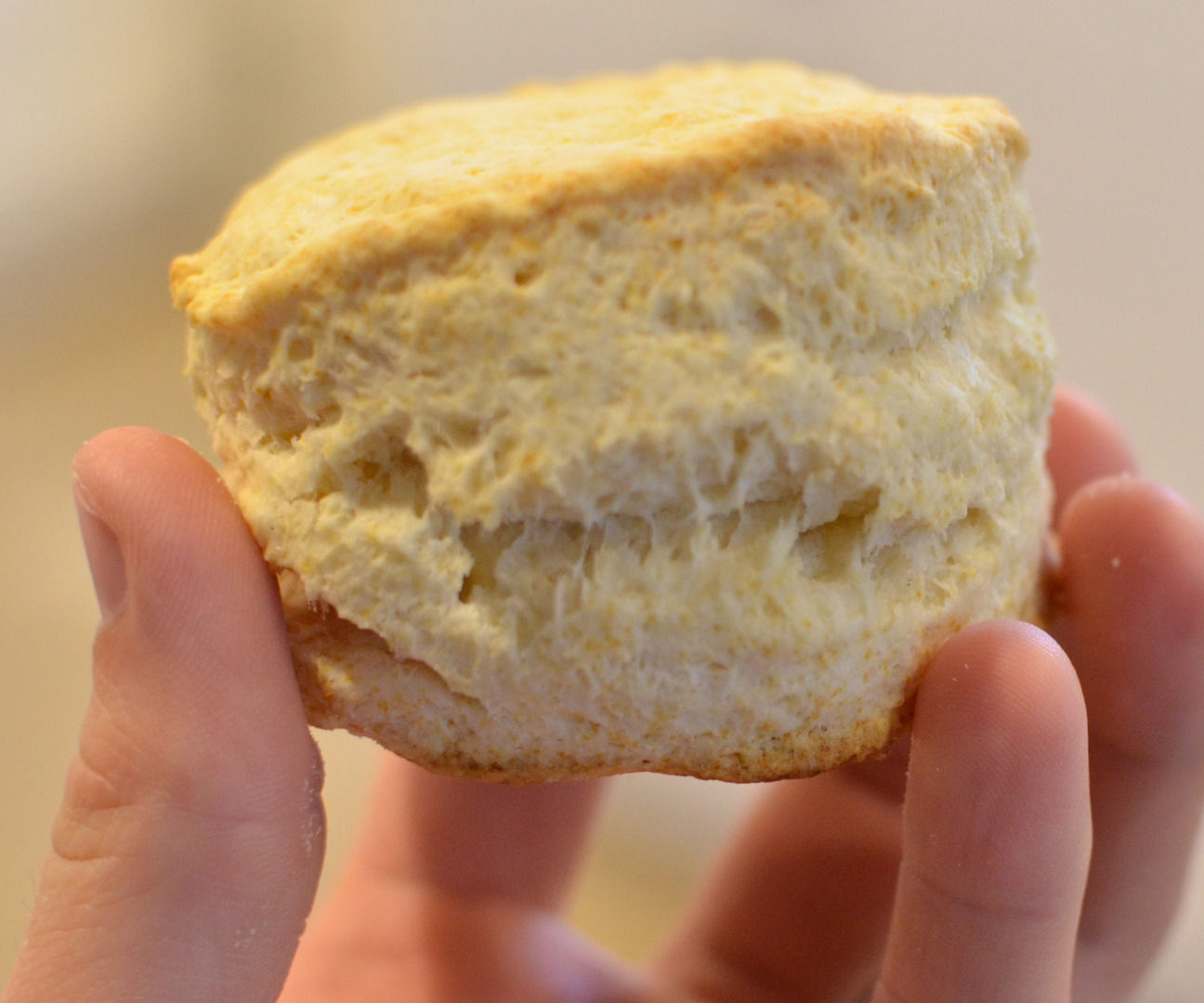 The Science of Biscuits 